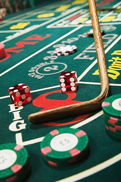 shio togel 4d shio togel 4d Terms & Conditions